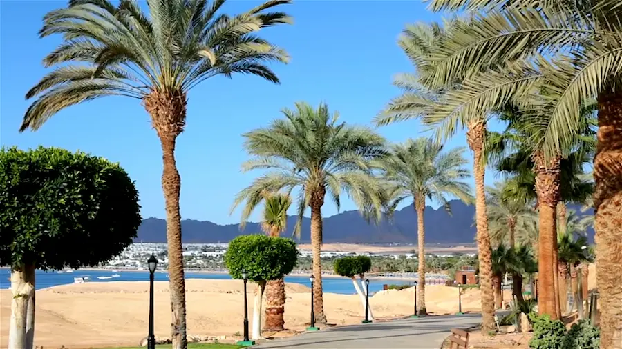 Why Is Royal Savoy Sharm El Sheikh a Top Choice for European Tourists?