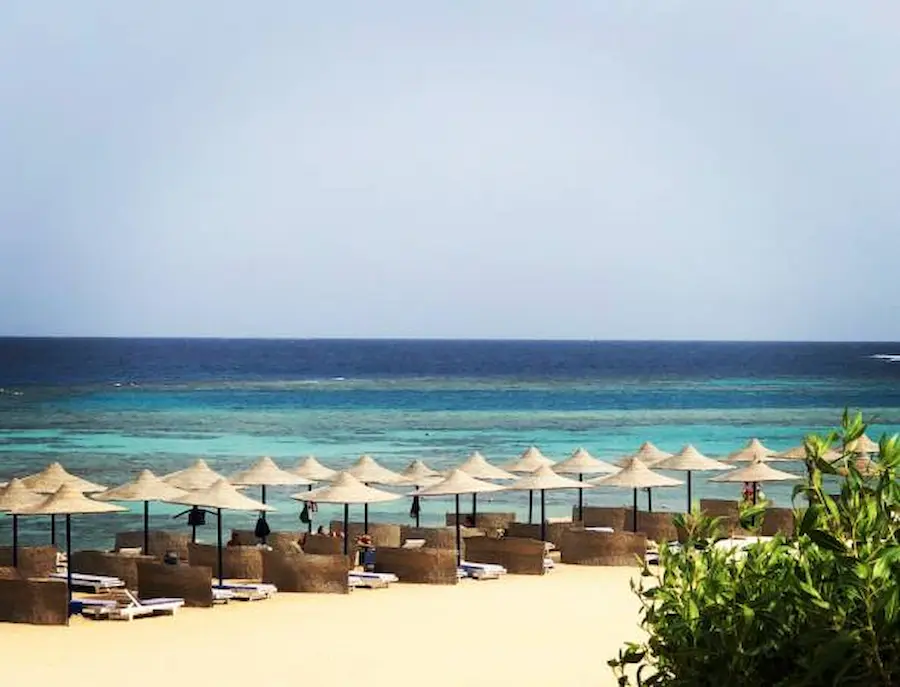 How Can You Explore Marine Life Near Fantazia Resort Marsa Alam?