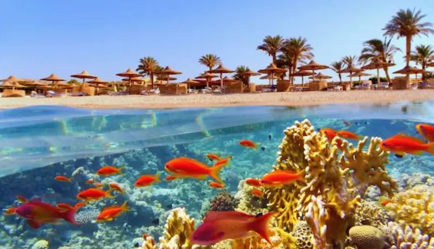 nubian hilton marsa alam