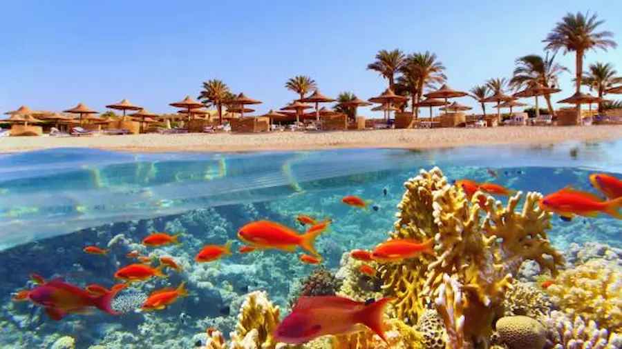 nubian hilton marsa alam