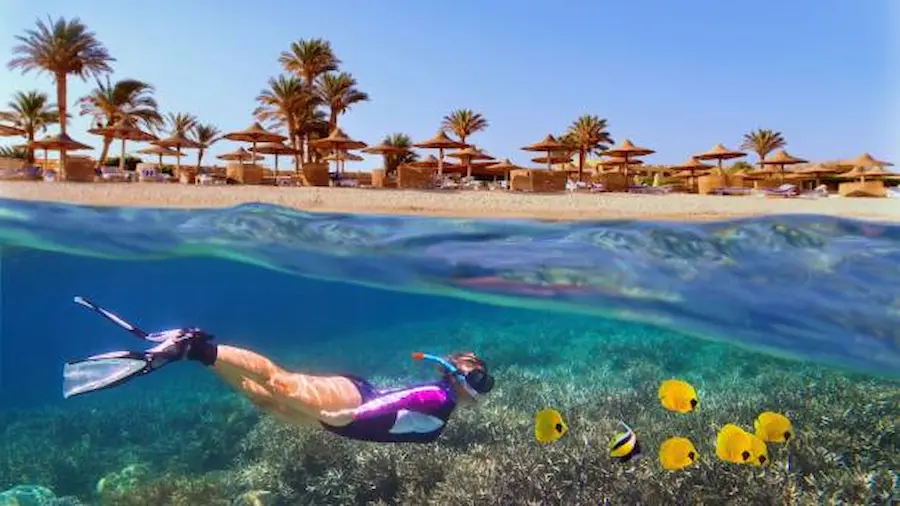 Why Is Marsa Alam Red Sea One of the Most Unique Destinations in Egypt?