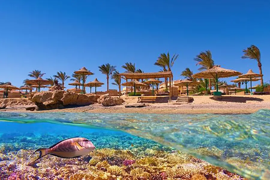 What Makes Marsa Alam Different from Other Red Sea Destinations?