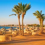 albatros sea world mars alam