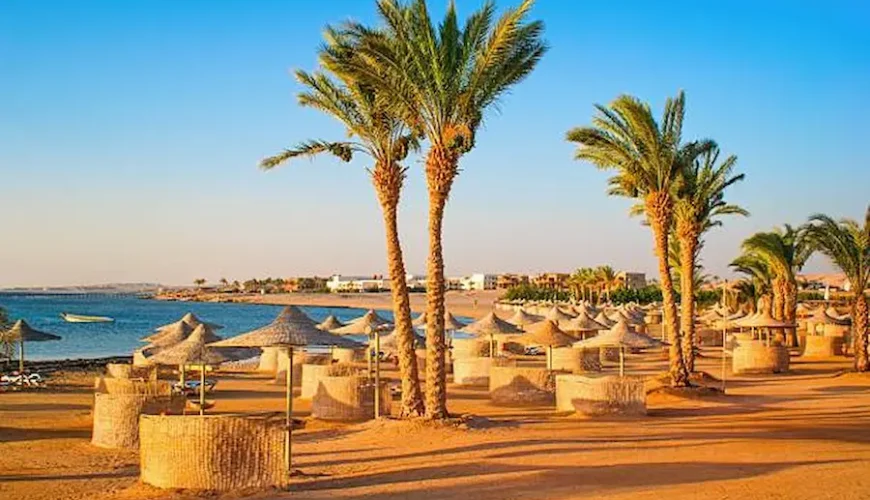 albatros sea world mars alam