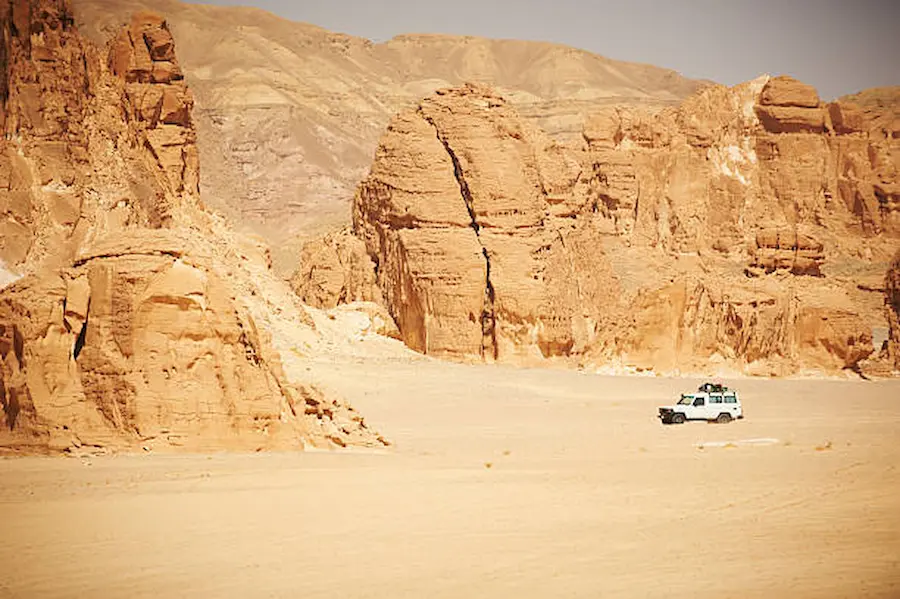 How Do Tours and Safaris Provide a Safe and Comfortable Travel Experience?