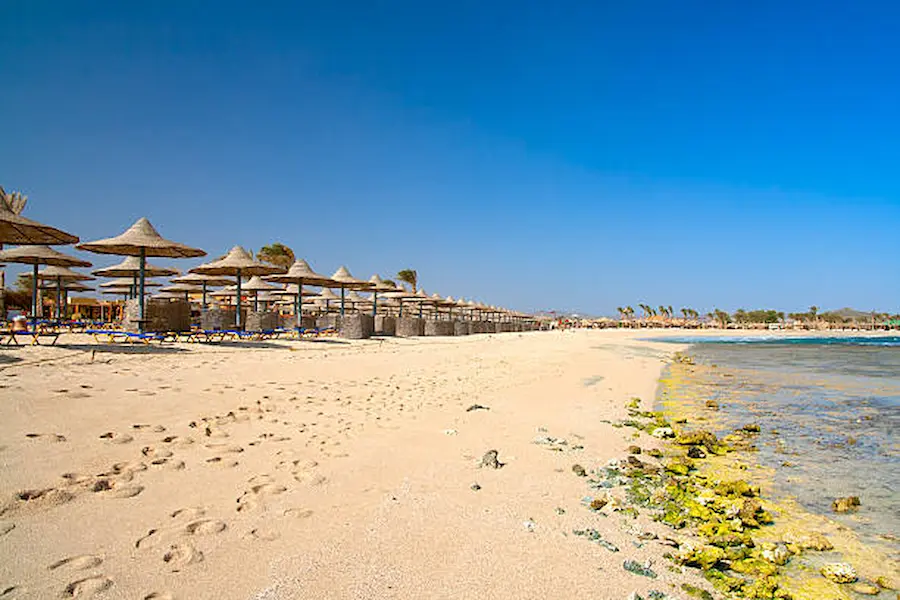 How Does Hilton Marsa Alam Offer a Relaxing Red Sea Experience?