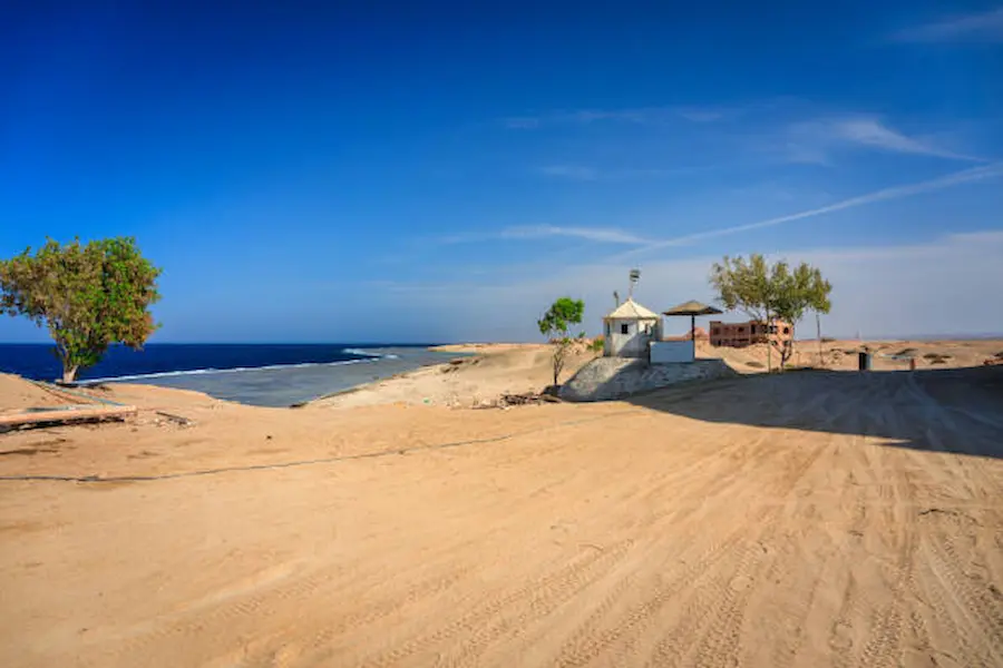 What Are Marsa Alam Desert Safari Tours and Why Are They So Popular?