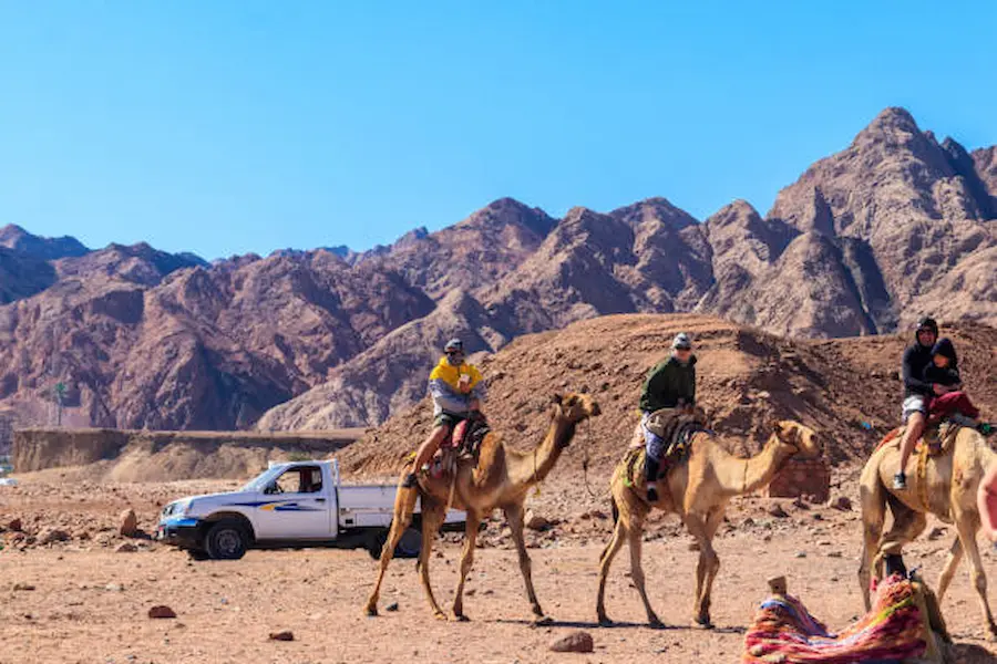 Cheap Safari Vacation Packages