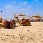 Egypt Desert Safari from Marsa Alam