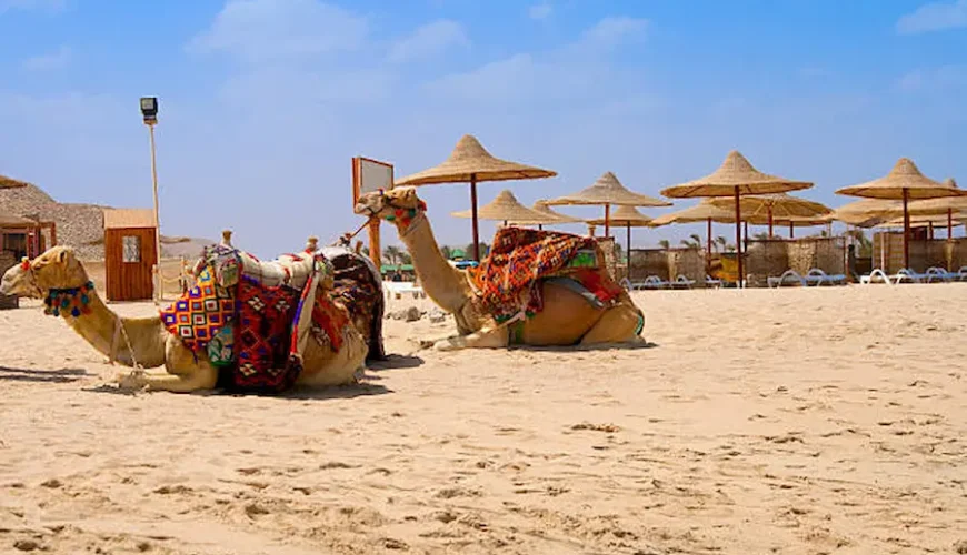 Egypt Desert Safari from Marsa Alam