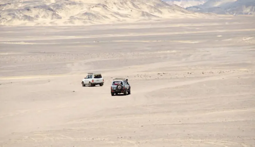 Guide to Cheap Safari Holidays in Egypt