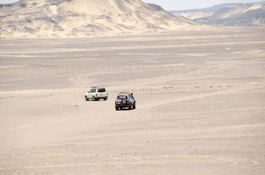 Guide to Cheap Safari Holidays in Egypt