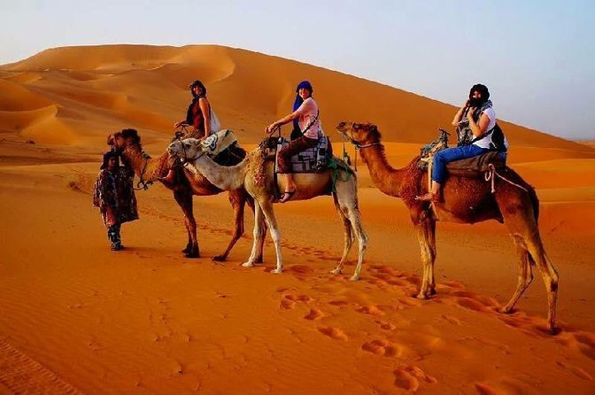 top desert tours in hurghada