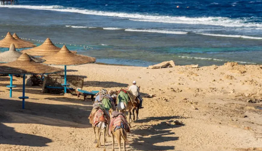 The Ultimate Guide to an Unforgettable Safari Trip in Marsa Alam – Be Happy Trips