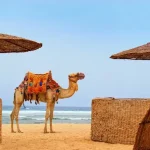 Cheapest Safari Trip in Marsa Alam With Be Happy Trips