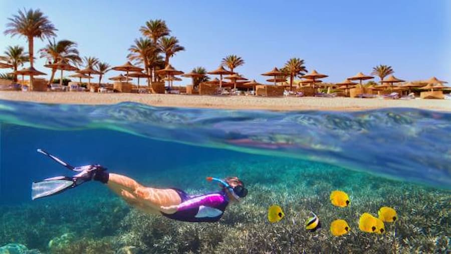 Snorkeling in Marsa Alam