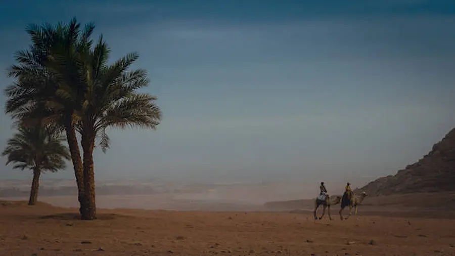 What Makes the Cheapest Safari Trip in Egypt So Popular Among Travelers?