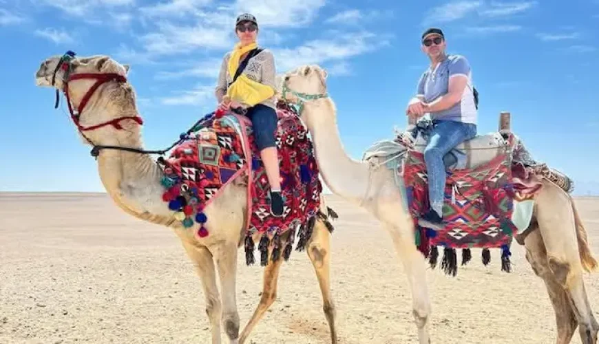 how to book safari trip hurghada