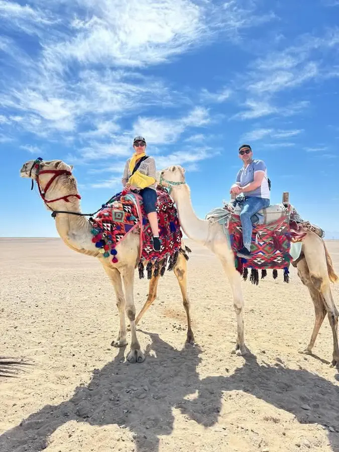 how to book safari trip hurghada